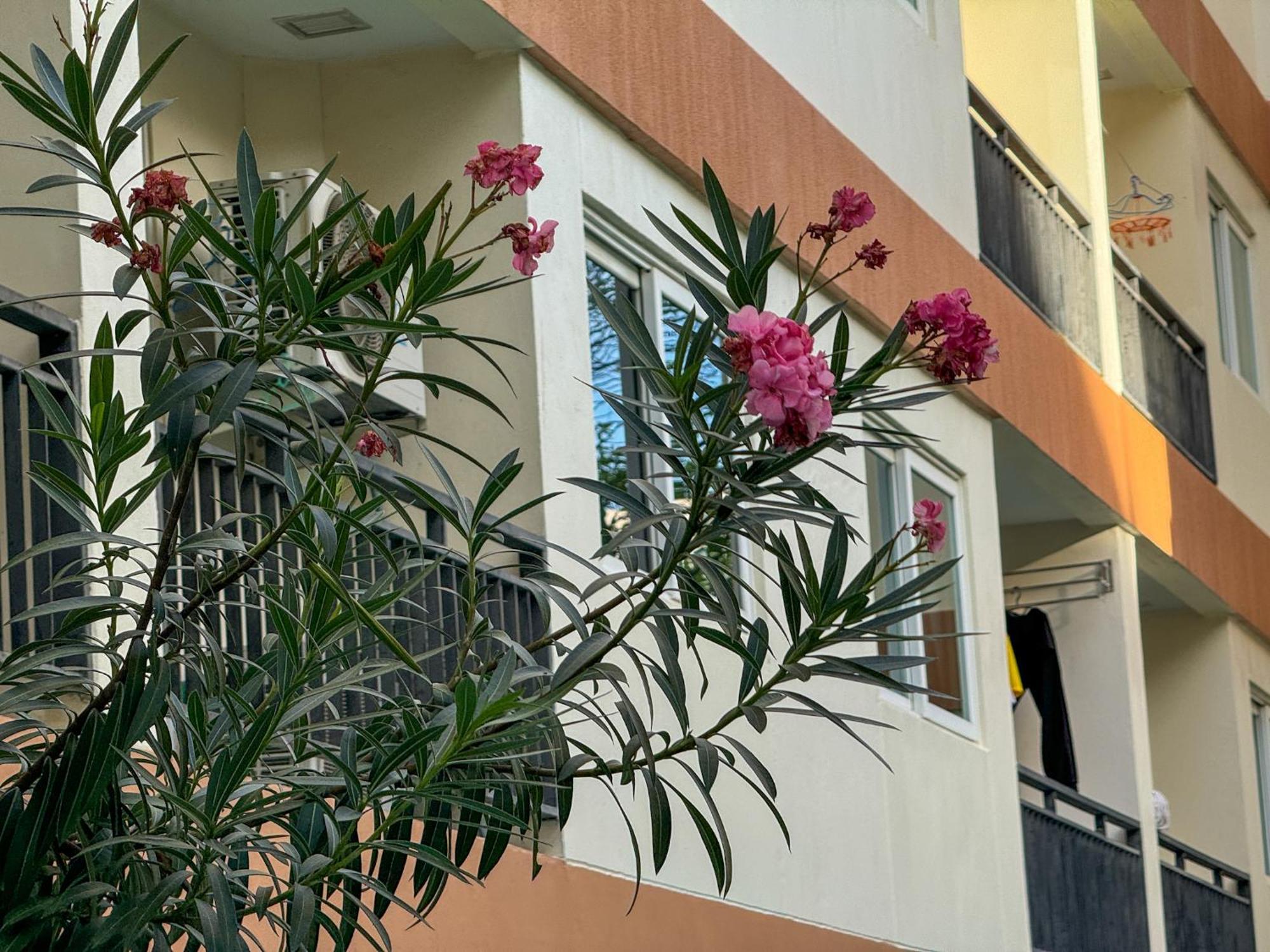 卧室直达泳池 全网最低价 到中天海滩5分钟 Jomtien Beach Buitenkant foto